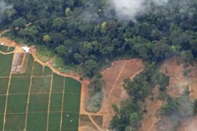 alertes satellite et communautaires