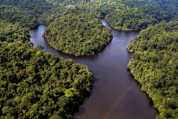 Des cacaoculteurs au Cameroun travaillant ensemble