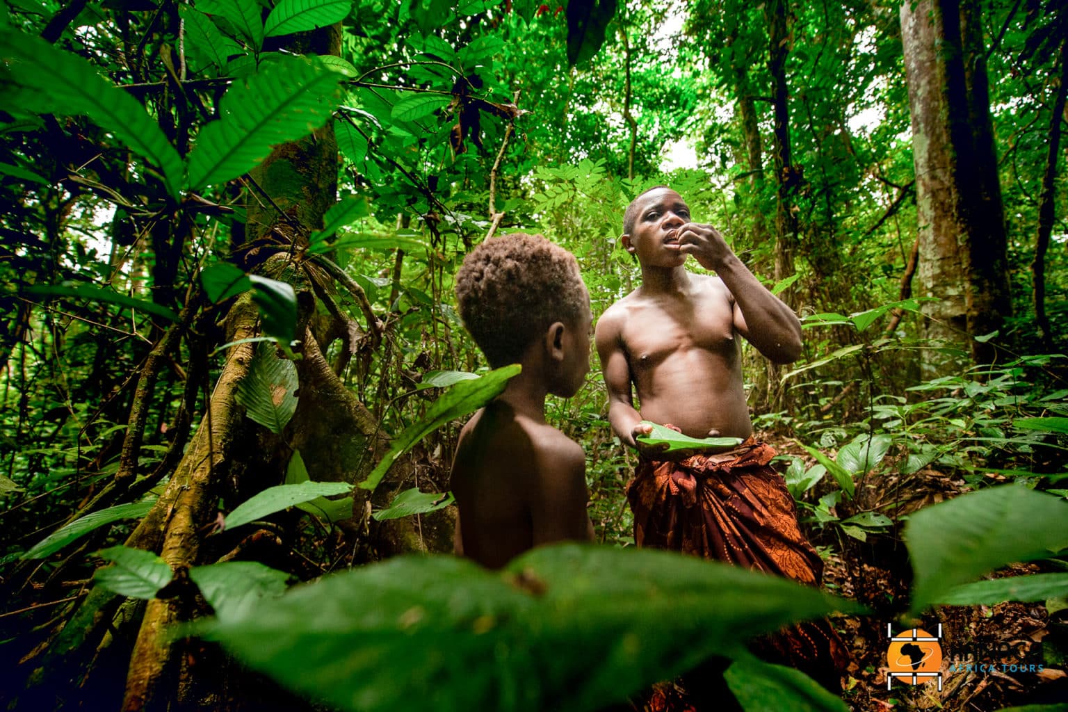 Vue aérienne d'une plantation de cacao durable
